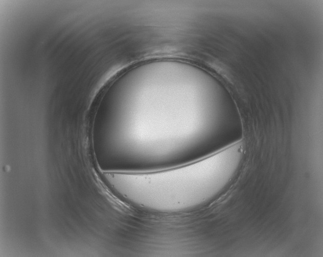 X0000063451458200601200942
