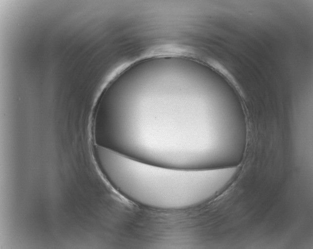 X0000063451477200601200942