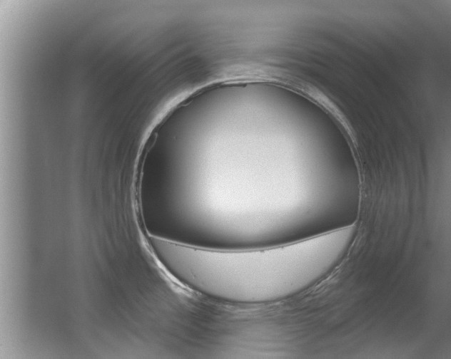 X0000063451485200601200941