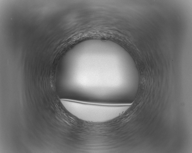 X0000063451490200601200941