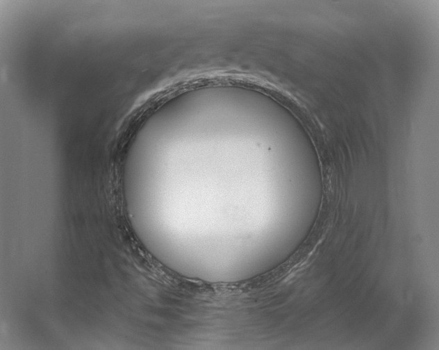 X0000063451494200601200941