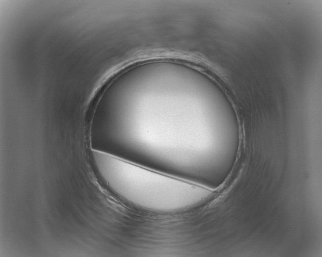 X0000063451501200601200941