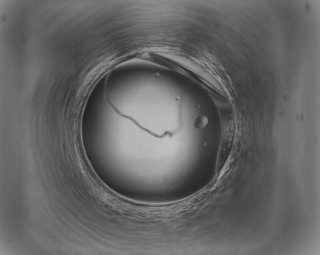 X0000063450001200601201232