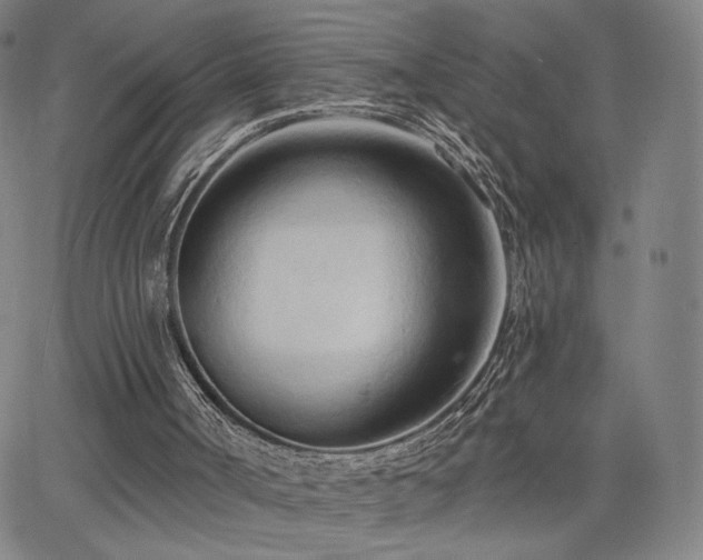 X0000063450002200601201232