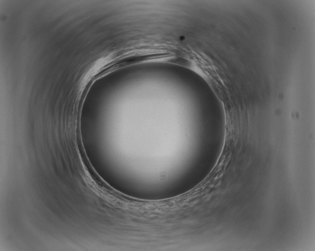 X0000063450003200601201232