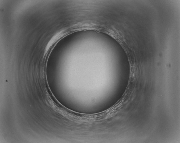 X0000063450004200601201232