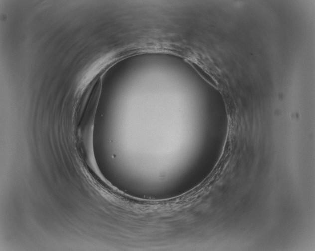 X0000063450005200601201232