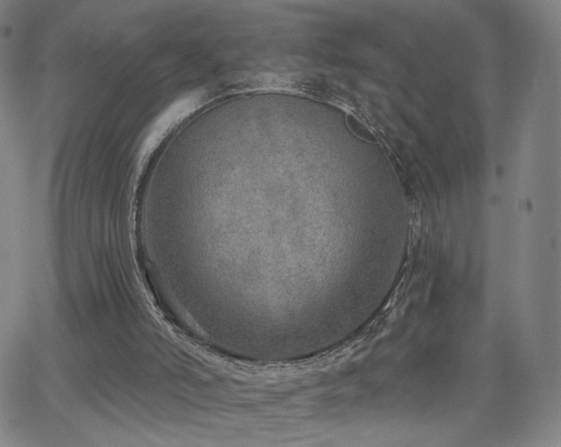 X0000063450006200601201232