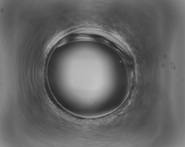 X0000063450007200601201232