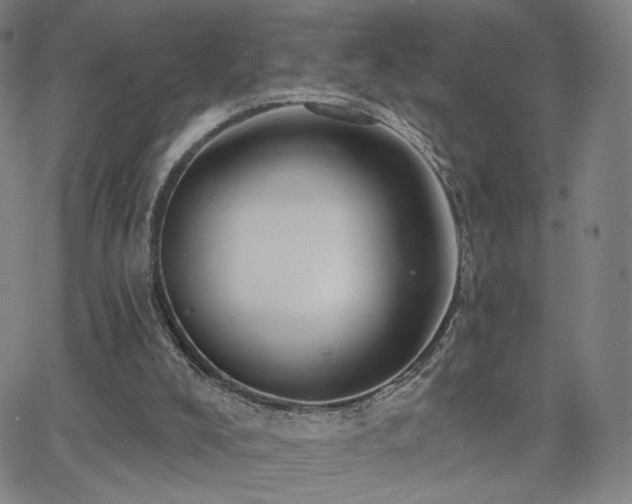 X0000063450008200601201232