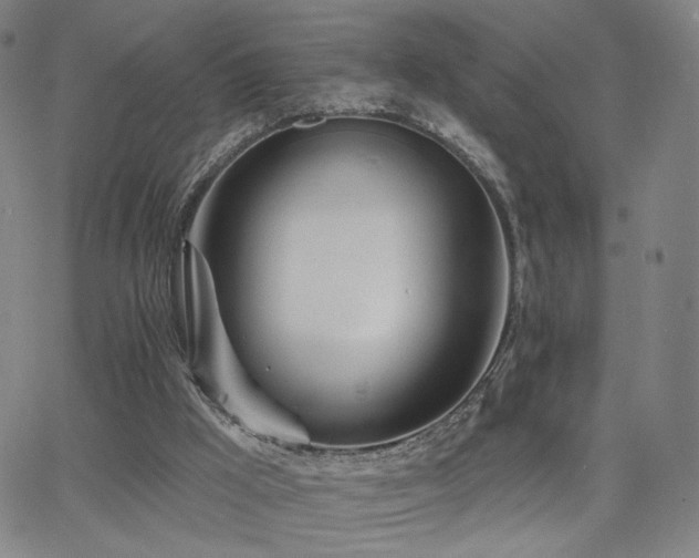 X0000063450009200601201232