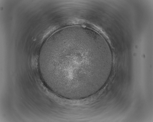 X0000063450010200601201232