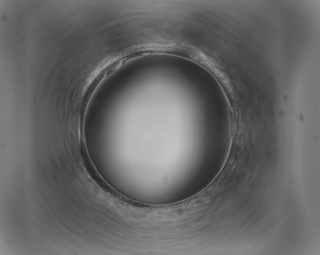 X0000063450011200601201232