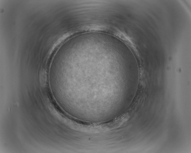 X0000063450012200601201232