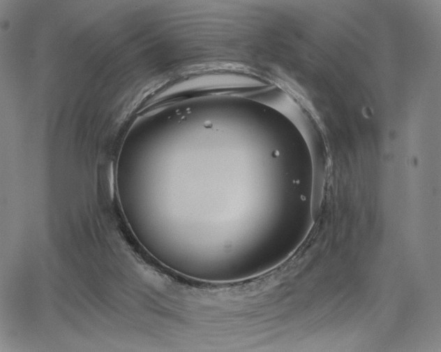 X0000063450013200601201232