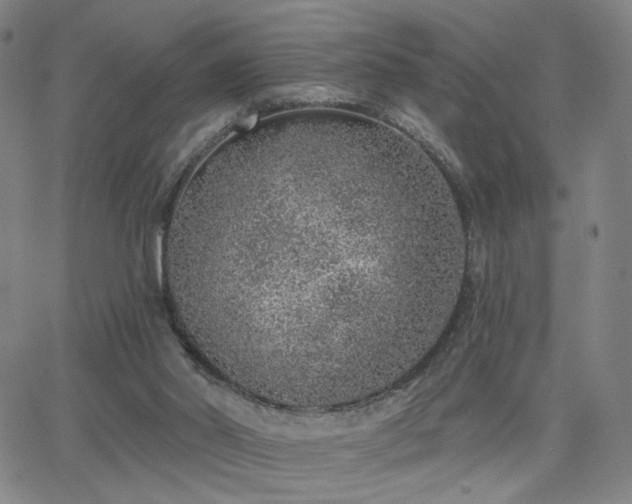 X0000063450014200601201232