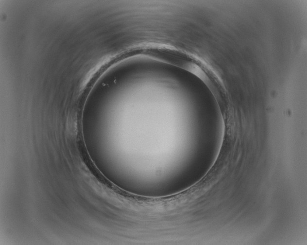 X0000063450015200601201232