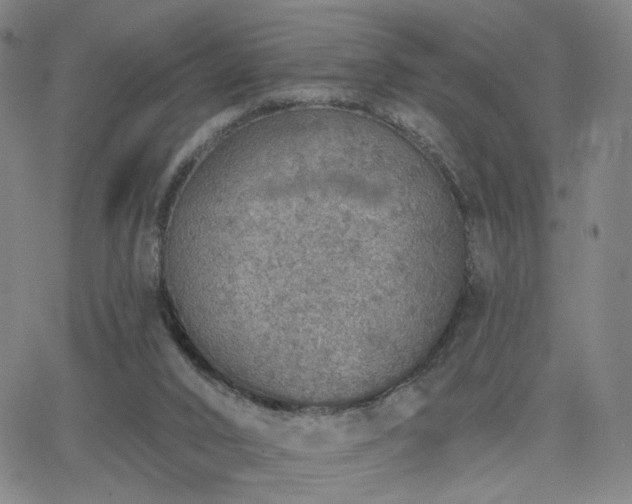 X0000063450016200601201232