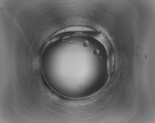 X0000063450017200601201232