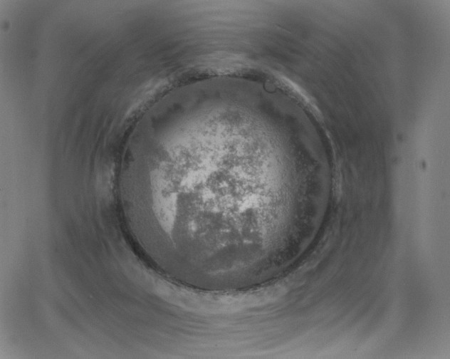 X0000063450018200601201232