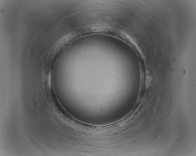 X0000063450019200601201232