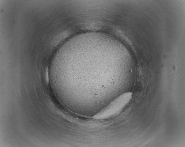 X0000063450020200601201232