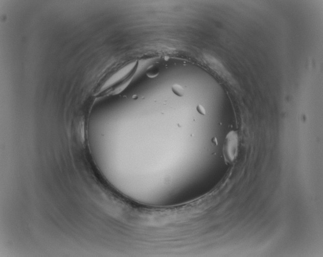 X0000063450021200601201232