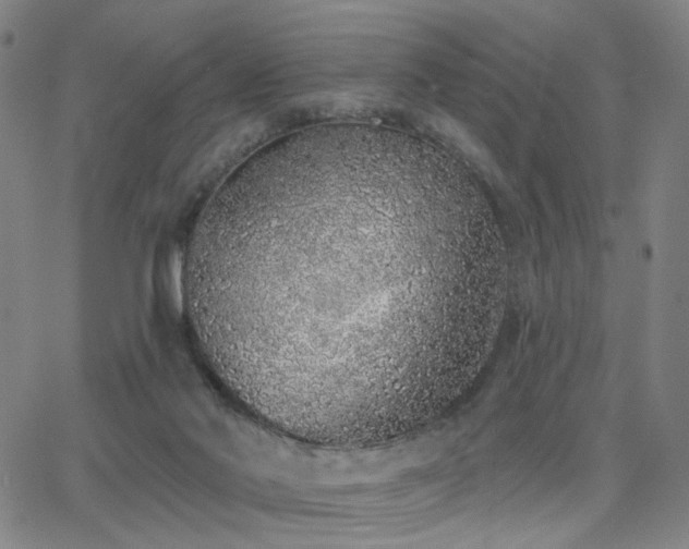 X0000063450022200601201232