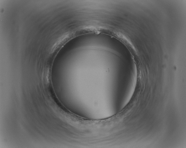 X0000063450023200601201232