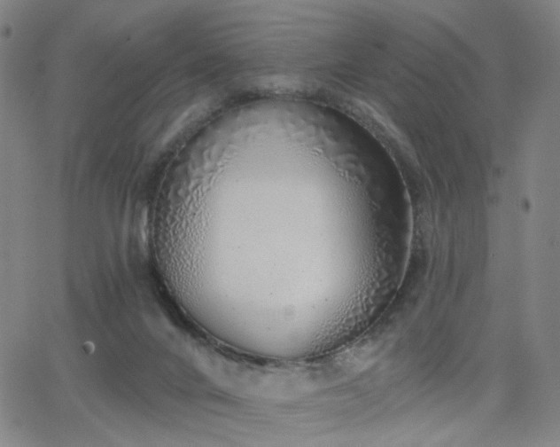 X0000063450024200601201232