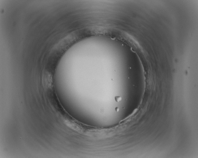 X0000063450025200601201232