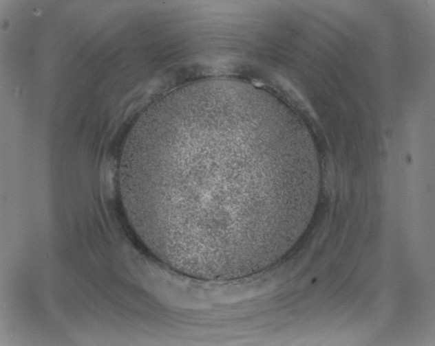 X0000063450026200601201232