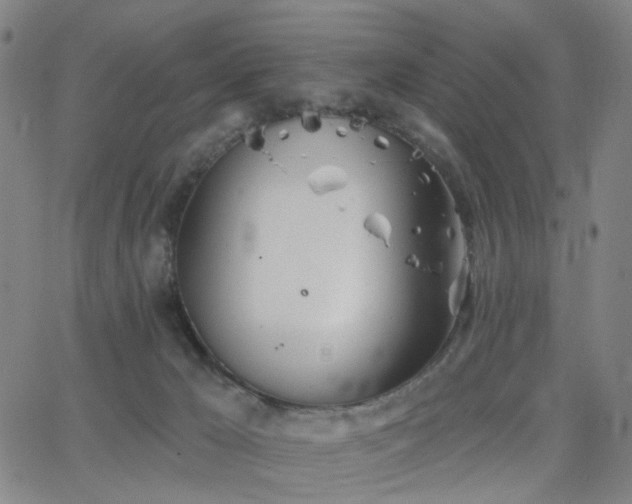 X0000063450029200601201232