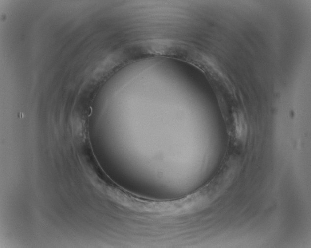 X0000063450031200601201232