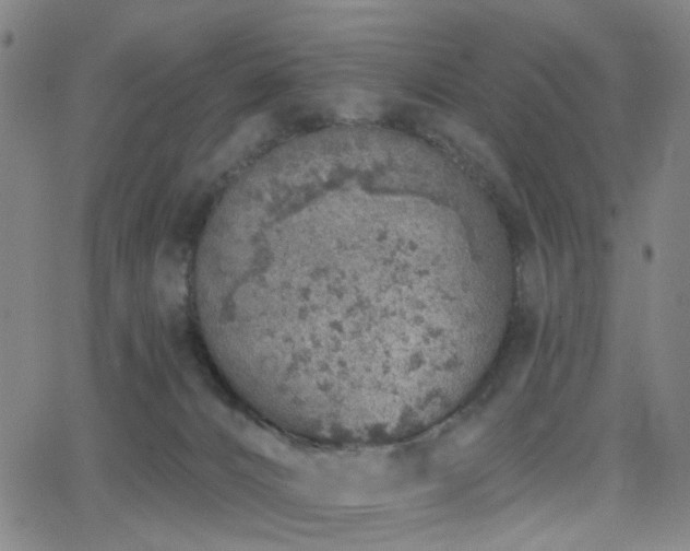 X0000063450032200601201232