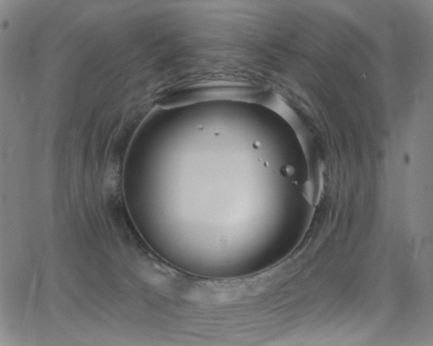 X0000063450033200601201232