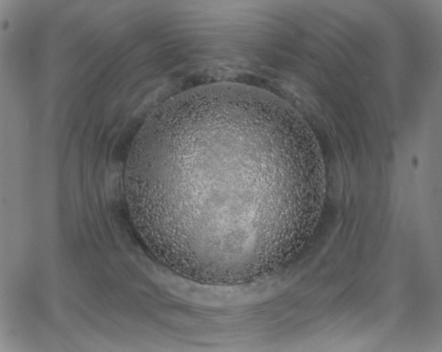 X0000063450034200601201232