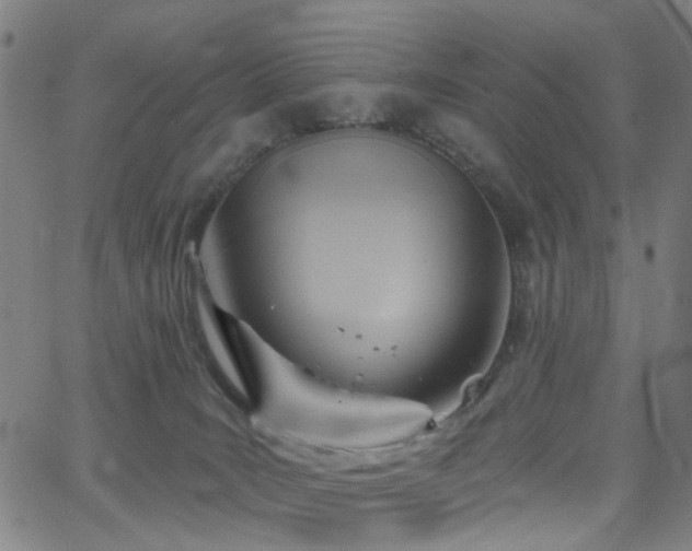 X0000063450035200601201232