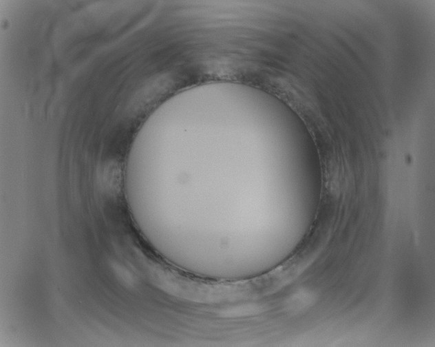 X0000063450036200601201232