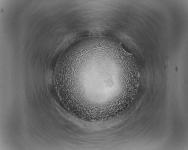 X0000063450038200601201232