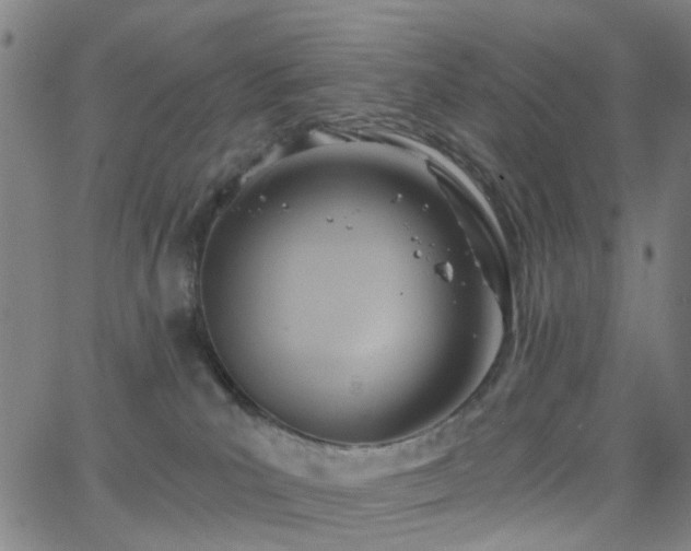 X0000063450039200601201232