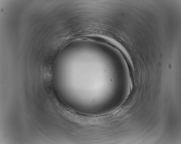 X0000063450040200601201232