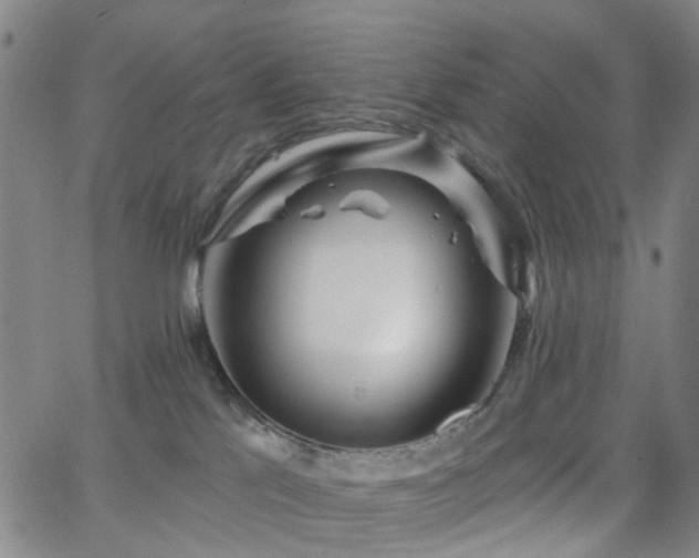 X0000063450041200601201232