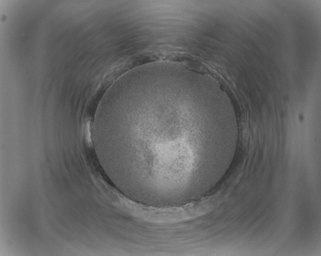 X0000063450042200601201231