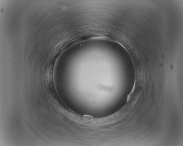 X0000063450043200601201231