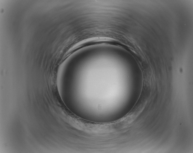 X0000063450044200601201231