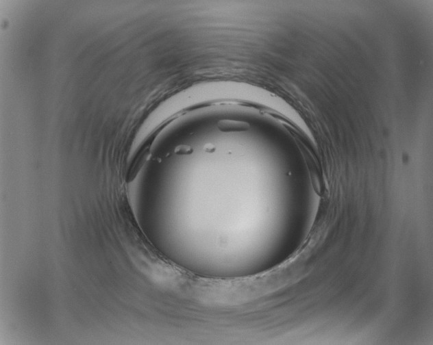 X0000063450045200601201231