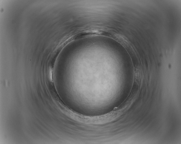 X0000063450046200601201231