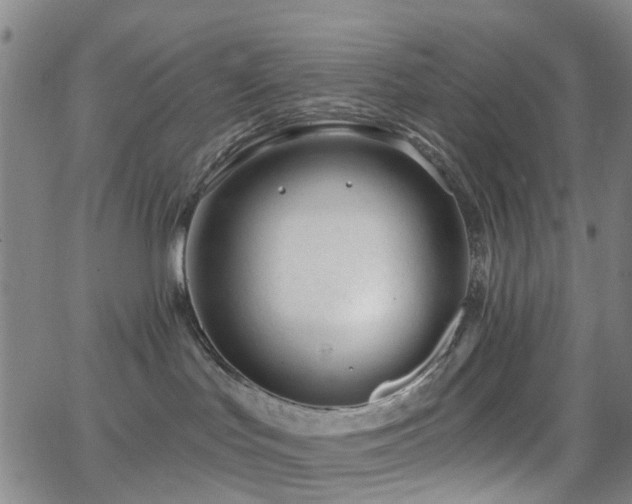 X0000063450047200601201231