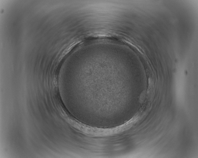 X0000063450048200601201231